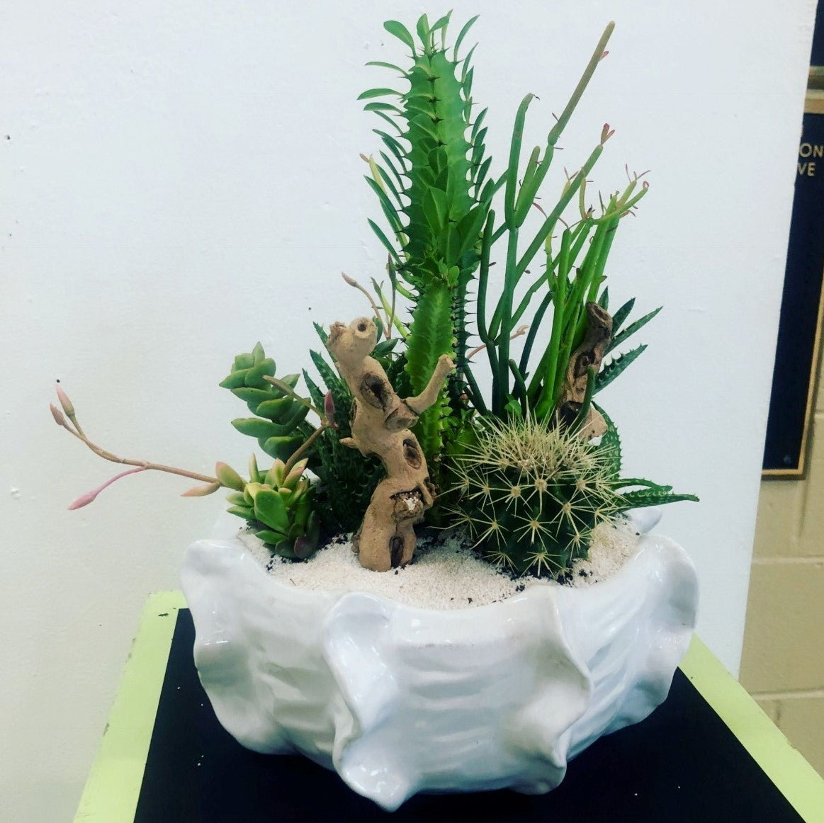Custom Indoor Arrangements