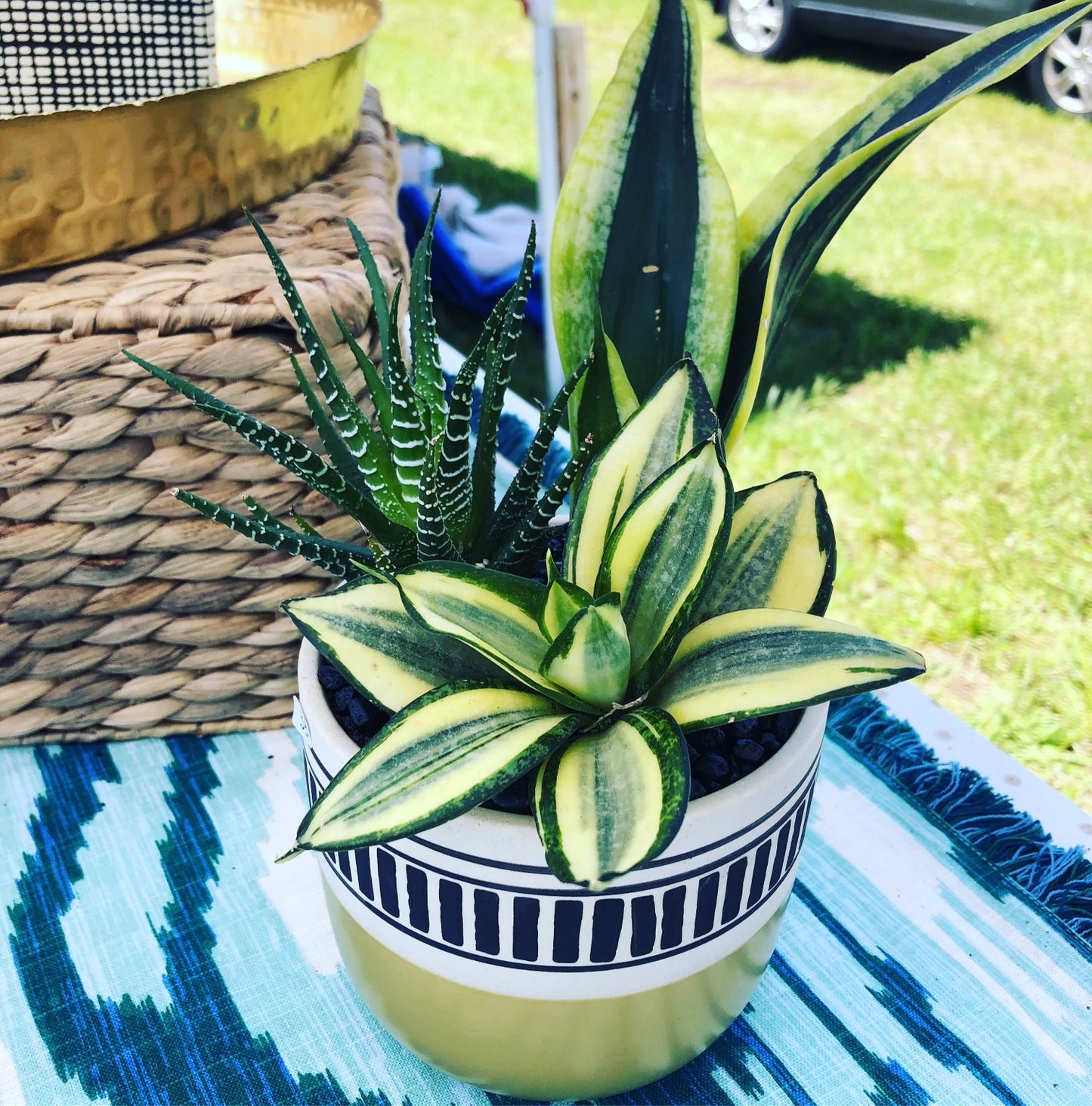 Custom Indoor Arrangements