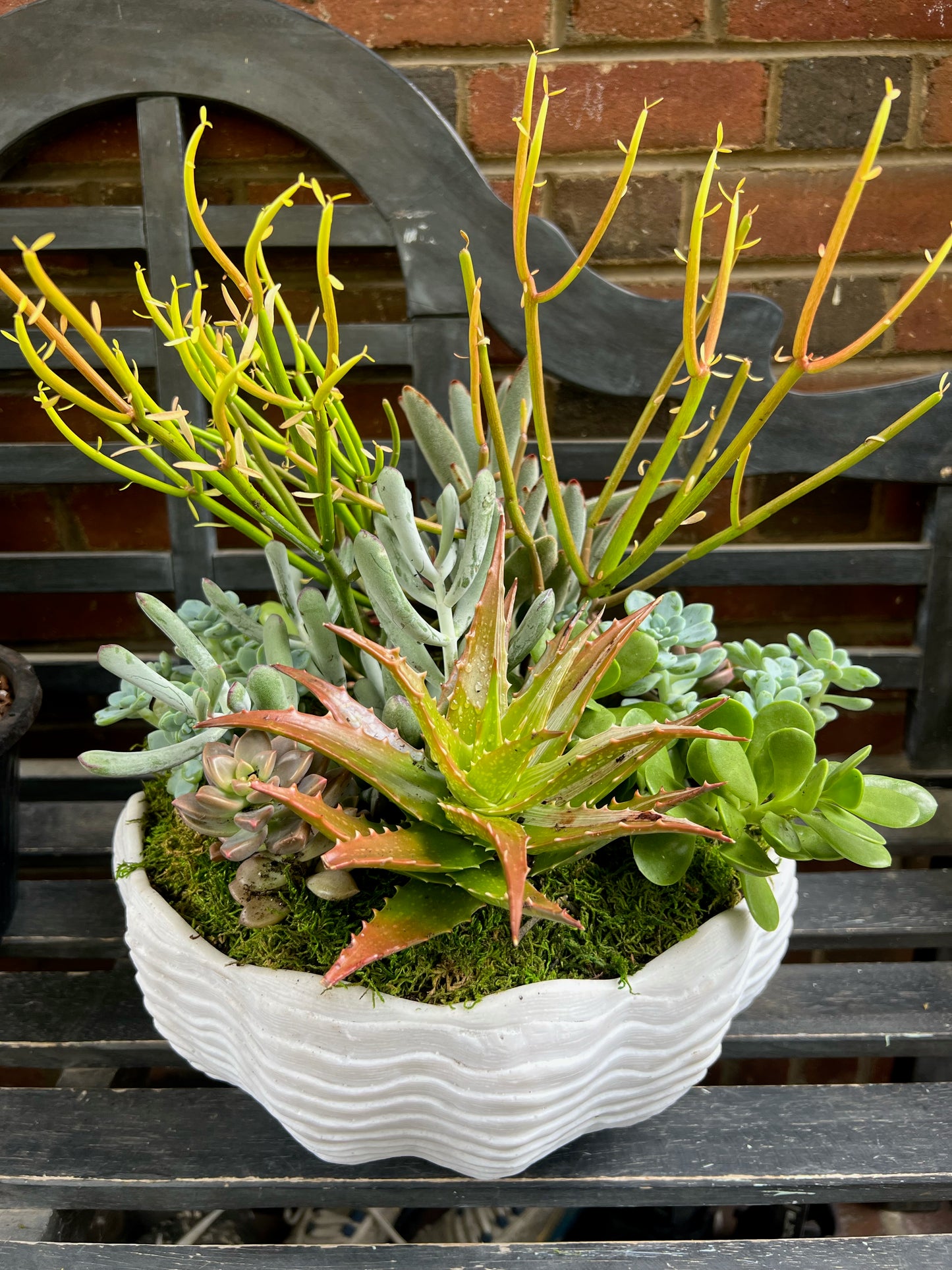 Custom Indoor Arrangements