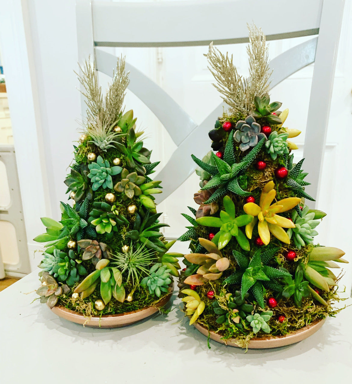 christmas decorating with succulents Succulent Christmas Trees – Bay & Branch Plant Design
