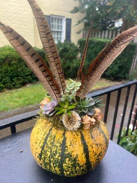 Medium pumpkin with feathers