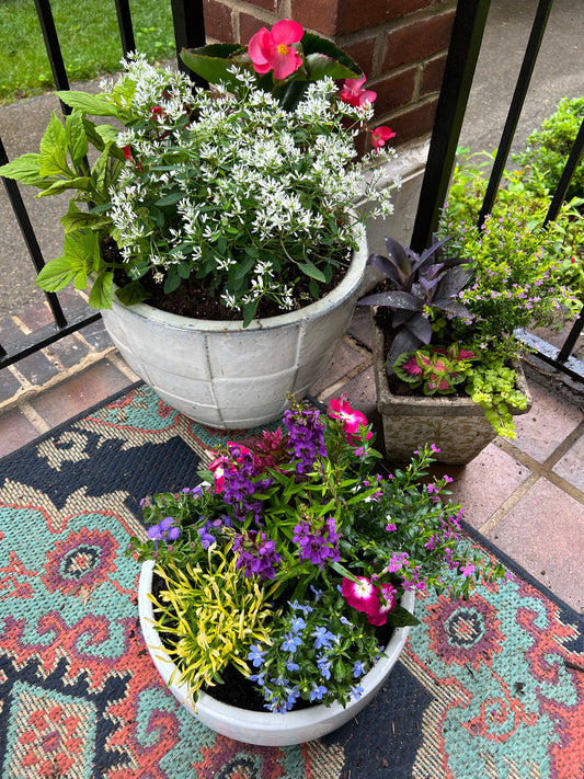 Outdoor Planting Services