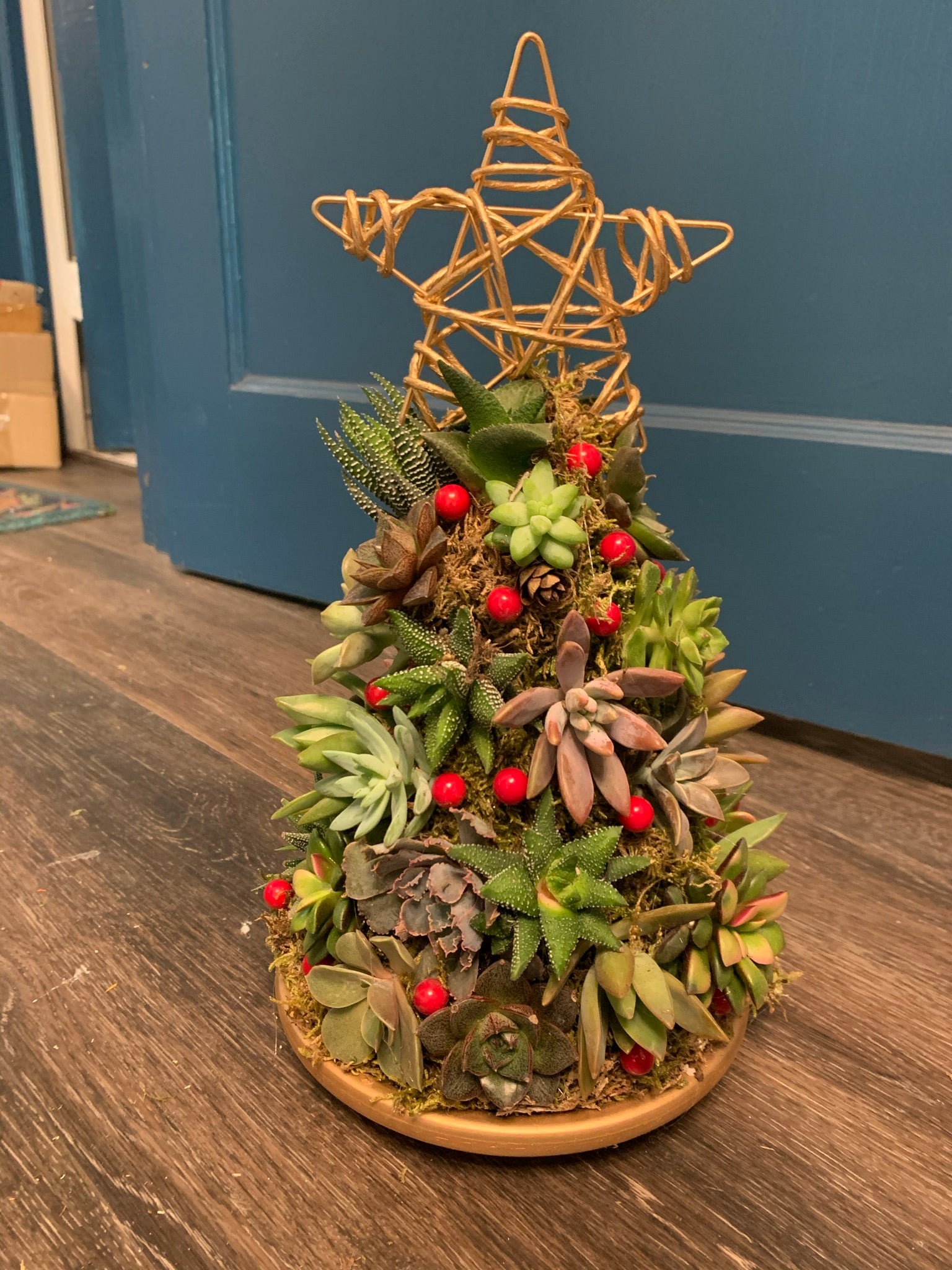succulent christmas ideas Succulent Christmas Trees – Bay & Branch Plant Design