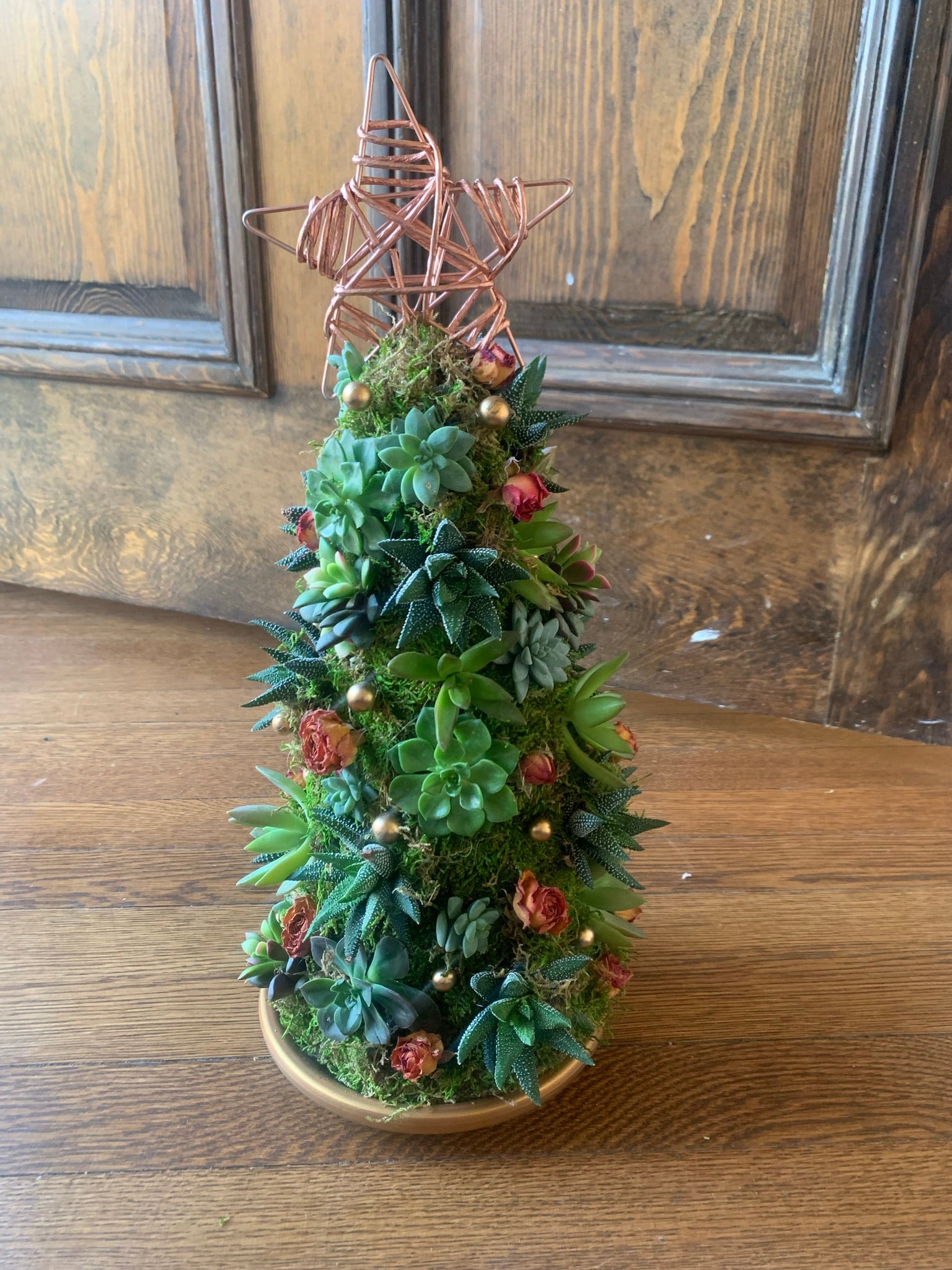 succulent christmas tree kit Succulent Christmas Trees